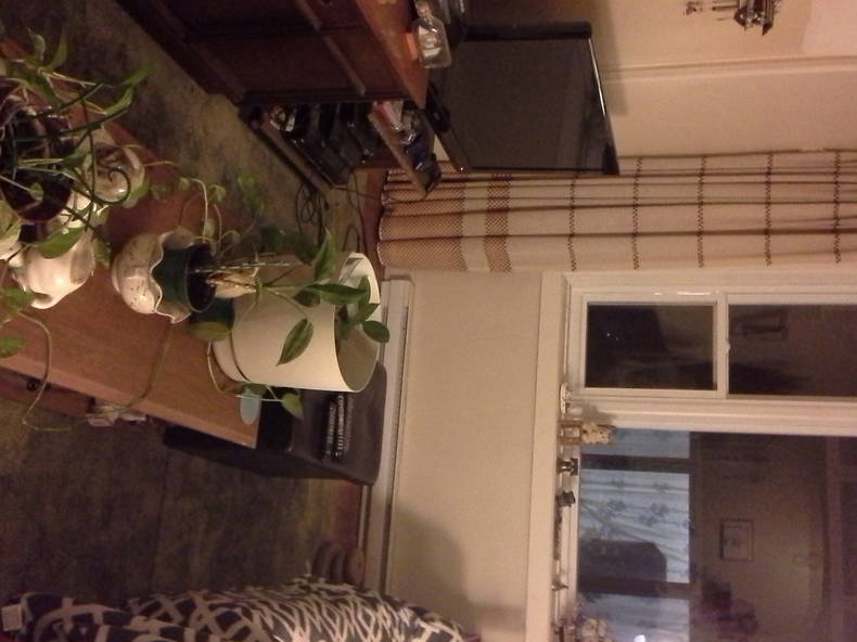 Gastgezin Montréal 155747-4