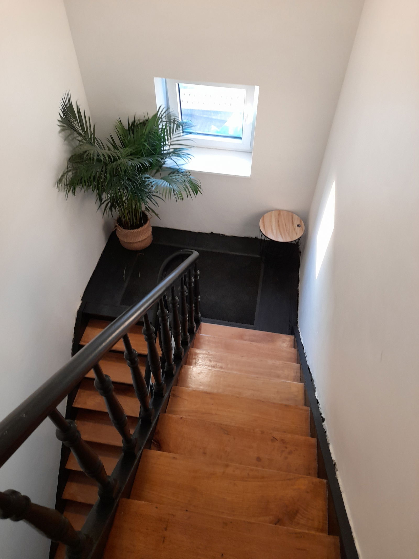 Colocación Charleroi 248946