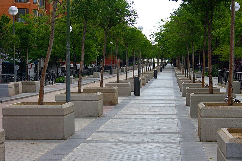 Quedarse En Casa Madrid 198540