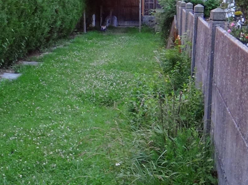 Coliving Arras 165617-2