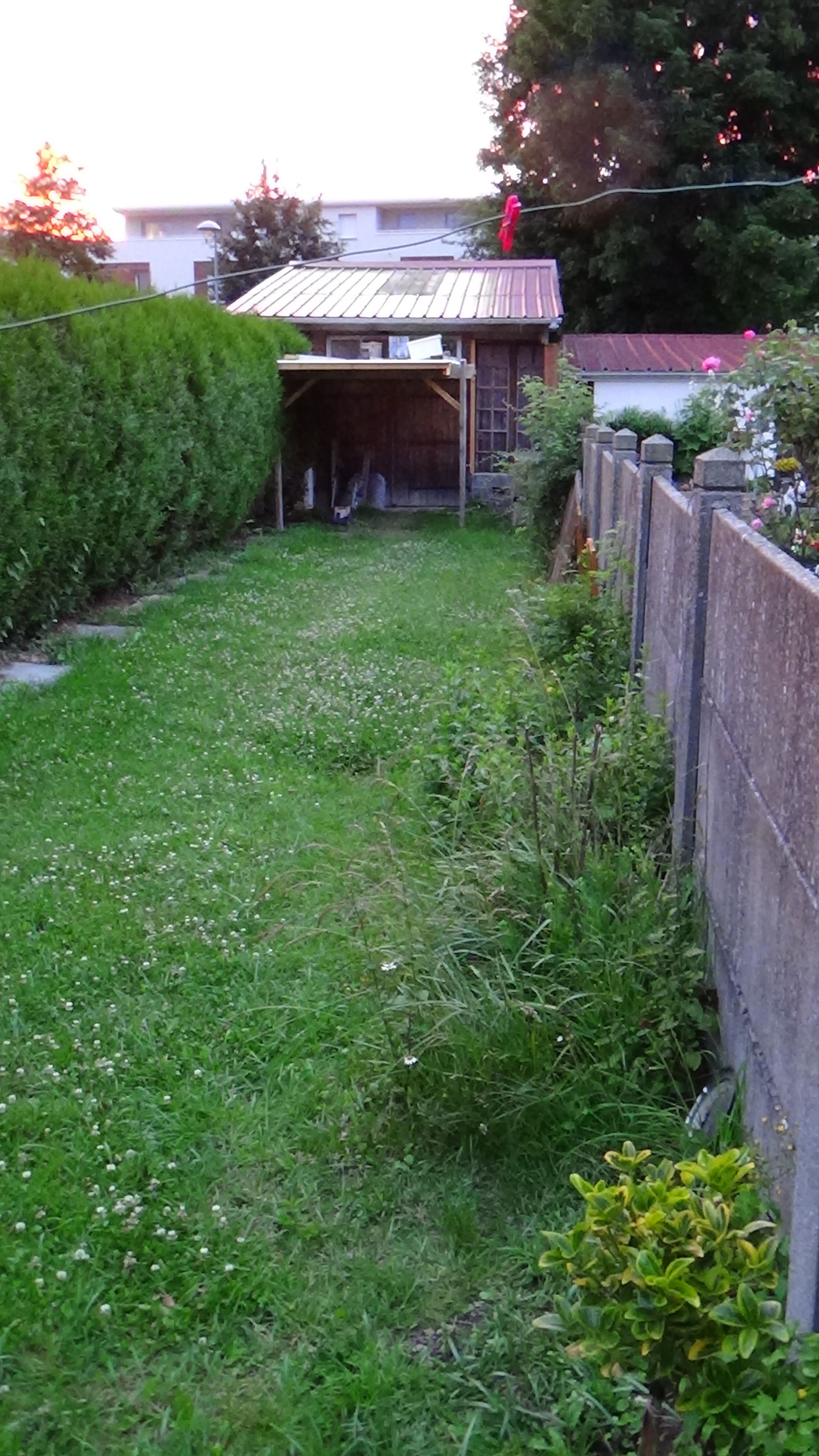 Coliving Arras 165617