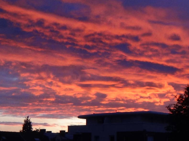 Ganzes Haus Arras 403873-4