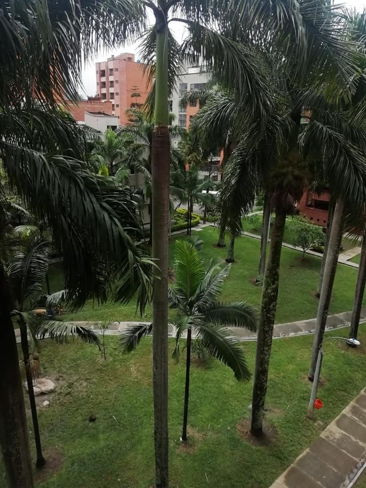 Quedarse En Casa Medellín 231359