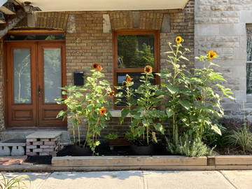 Chambre À Louer Montréal 426047