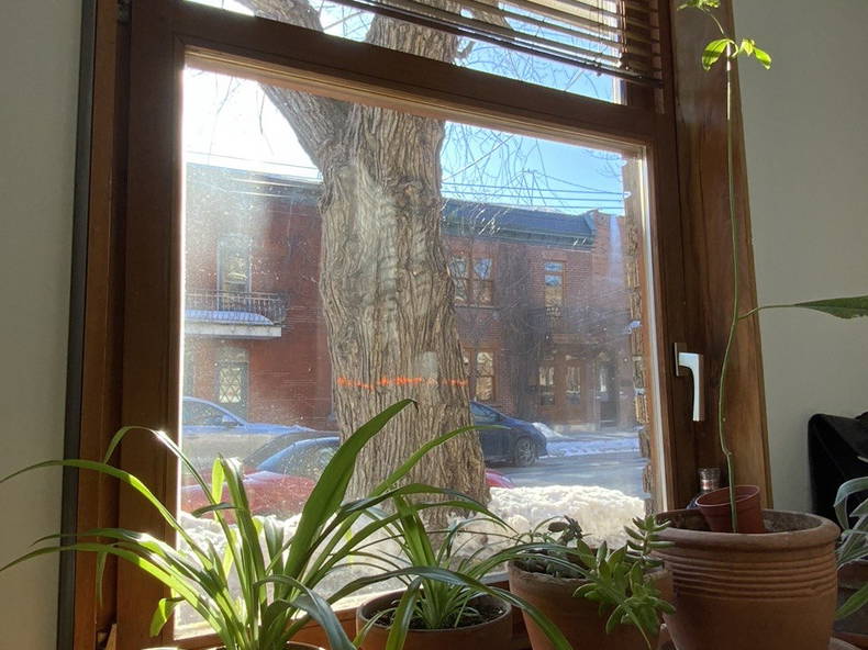 Ganzes Haus Montréal 426047-4