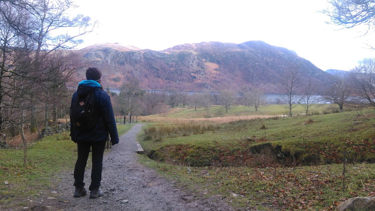 Famiglia Hull 266704