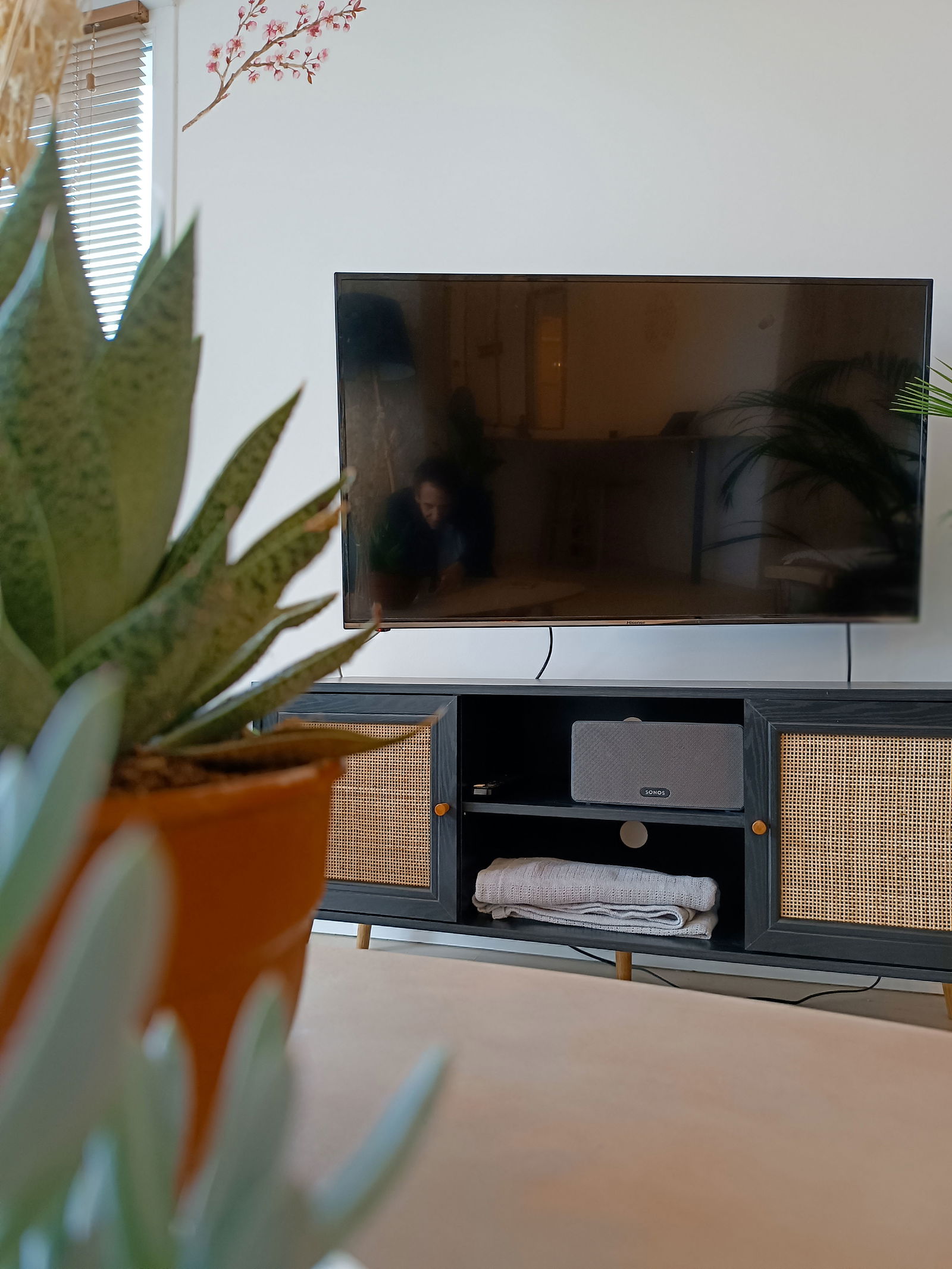 Kolokation Cergy 263385