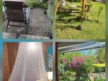 Chambre chez l'habitant à louer à Moorea-Maiao - photo 5-5