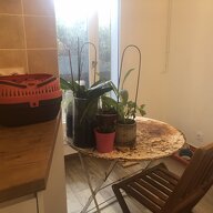 Colocation Noisy-le-Grand 390556