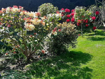 Logement Entier Plourivo 143149-14