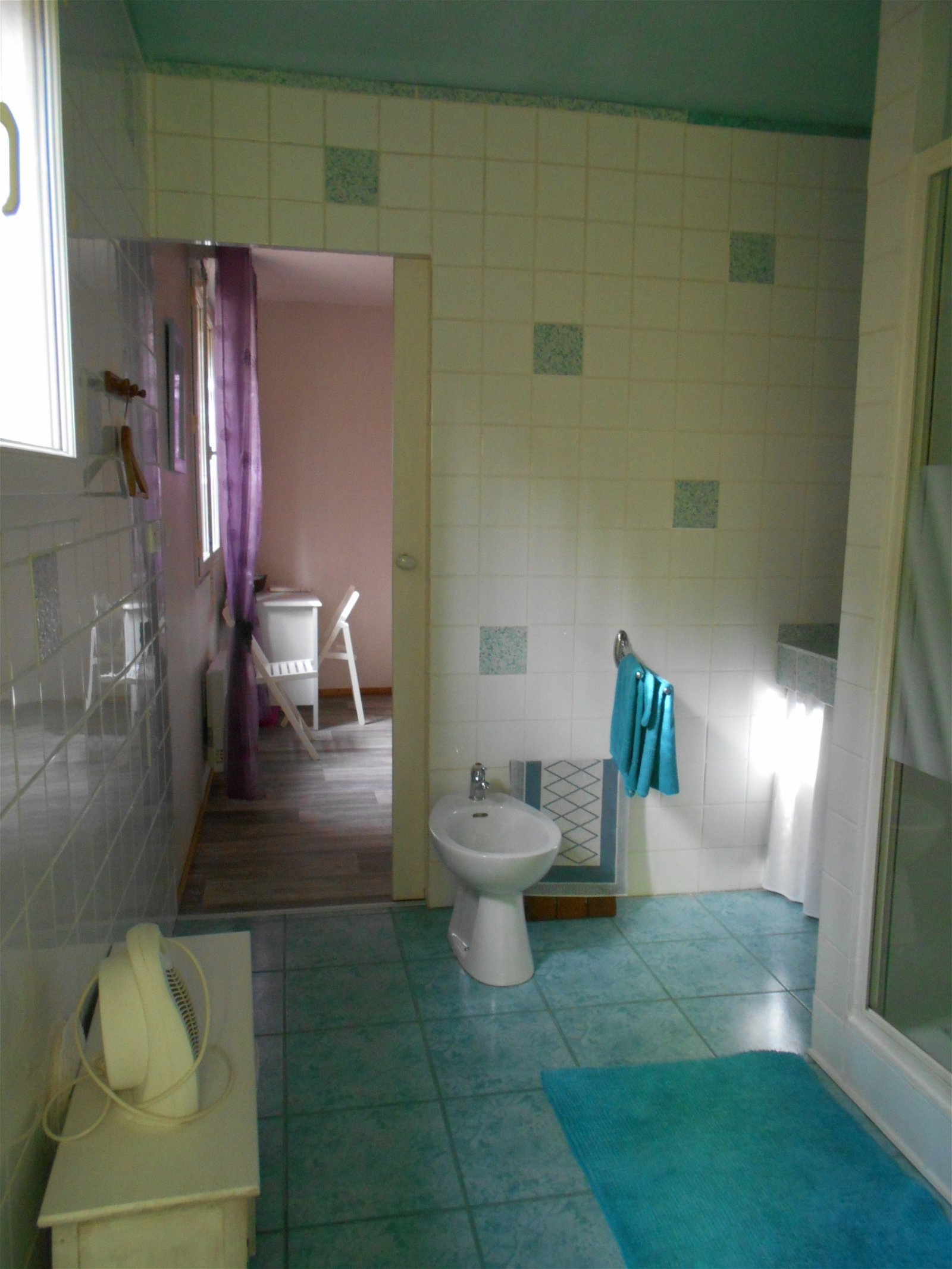 Homestay Auterive 140324