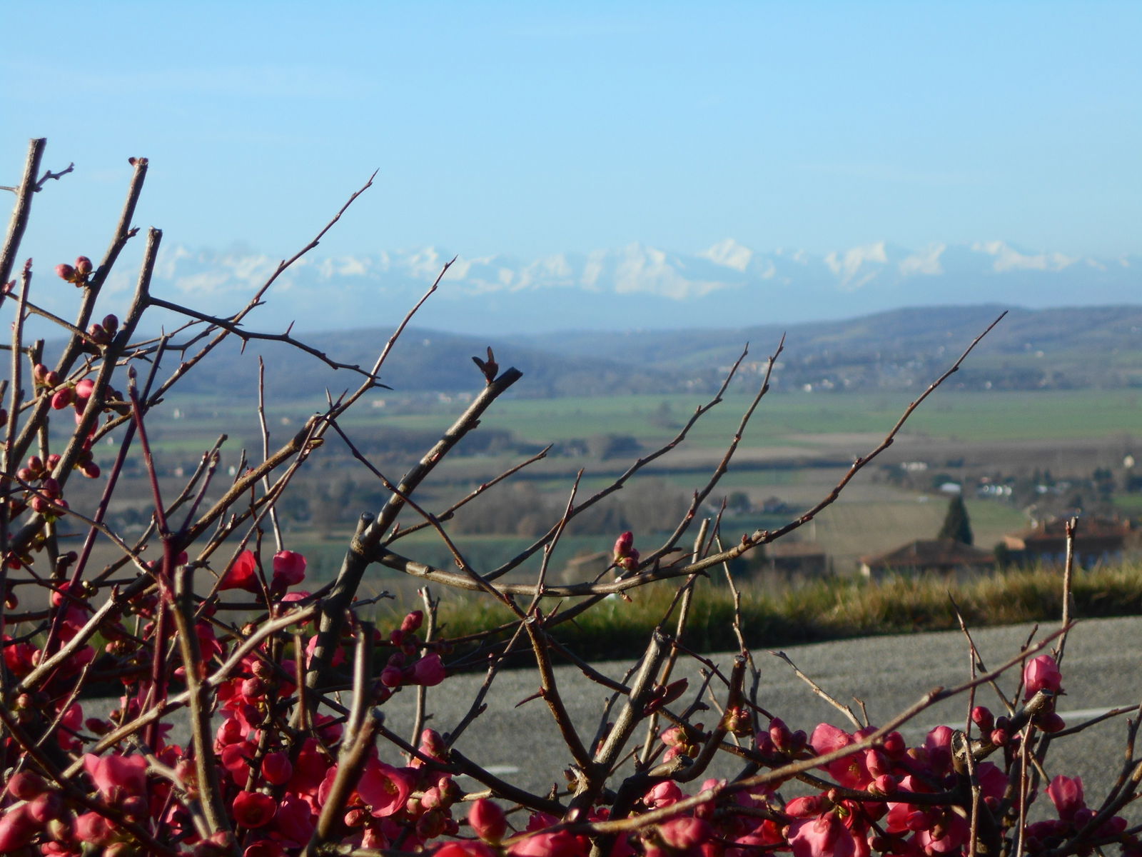 Homestay Auterive 140324