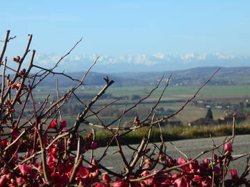 Chambre Chez L'habitant Auterive 140324-7