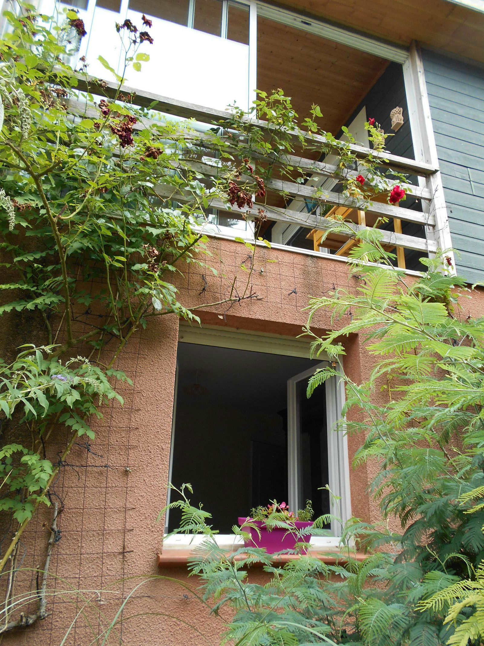 Homestay Auterive 141661