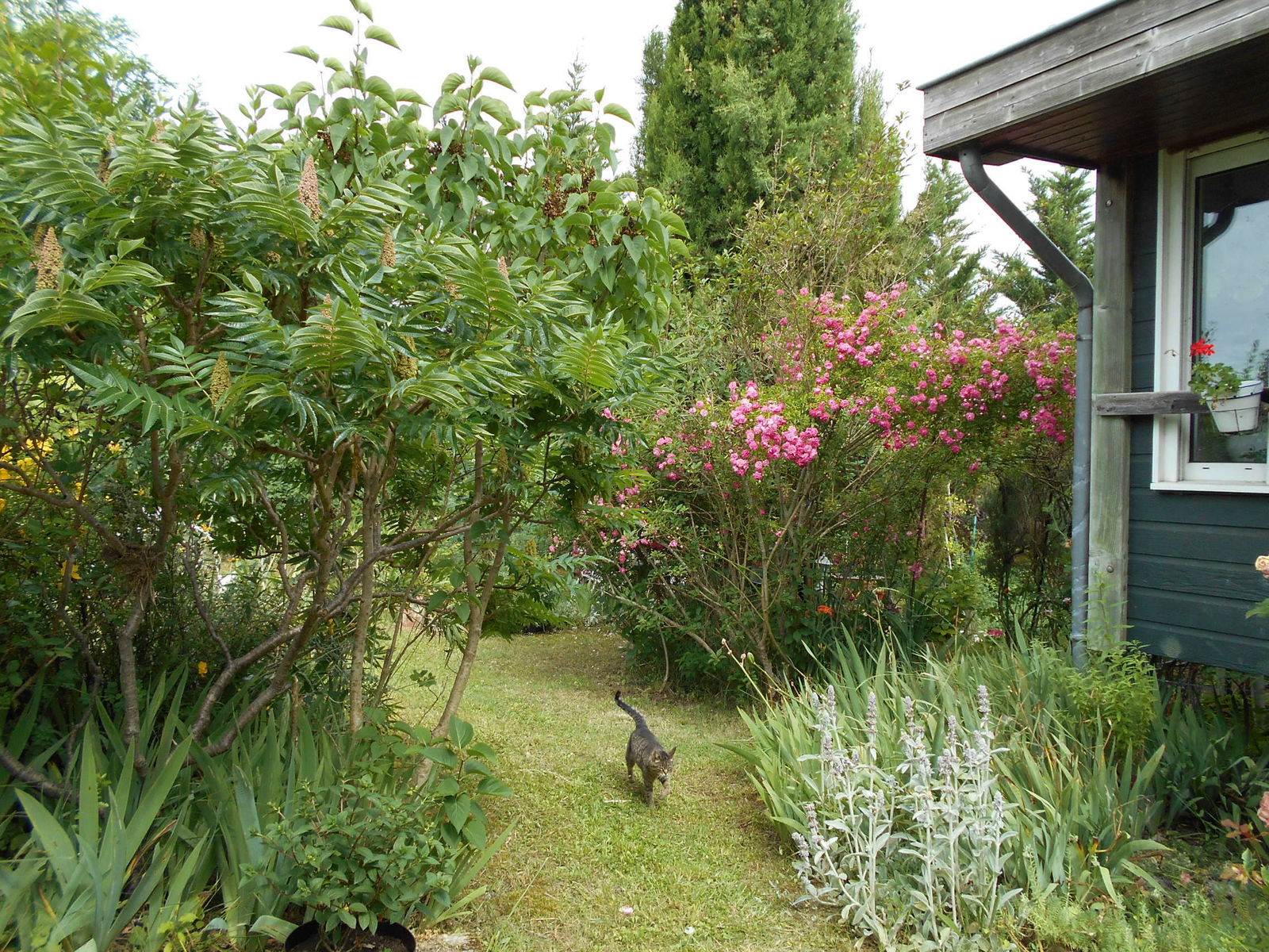 Homestay Auterive 141661