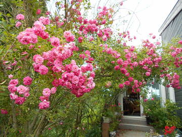Chambre Chez L'habitant Auterive 141661-10