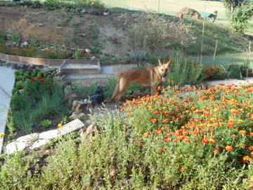 Bed And Breakfast Vergt-De-Biron 163391-8