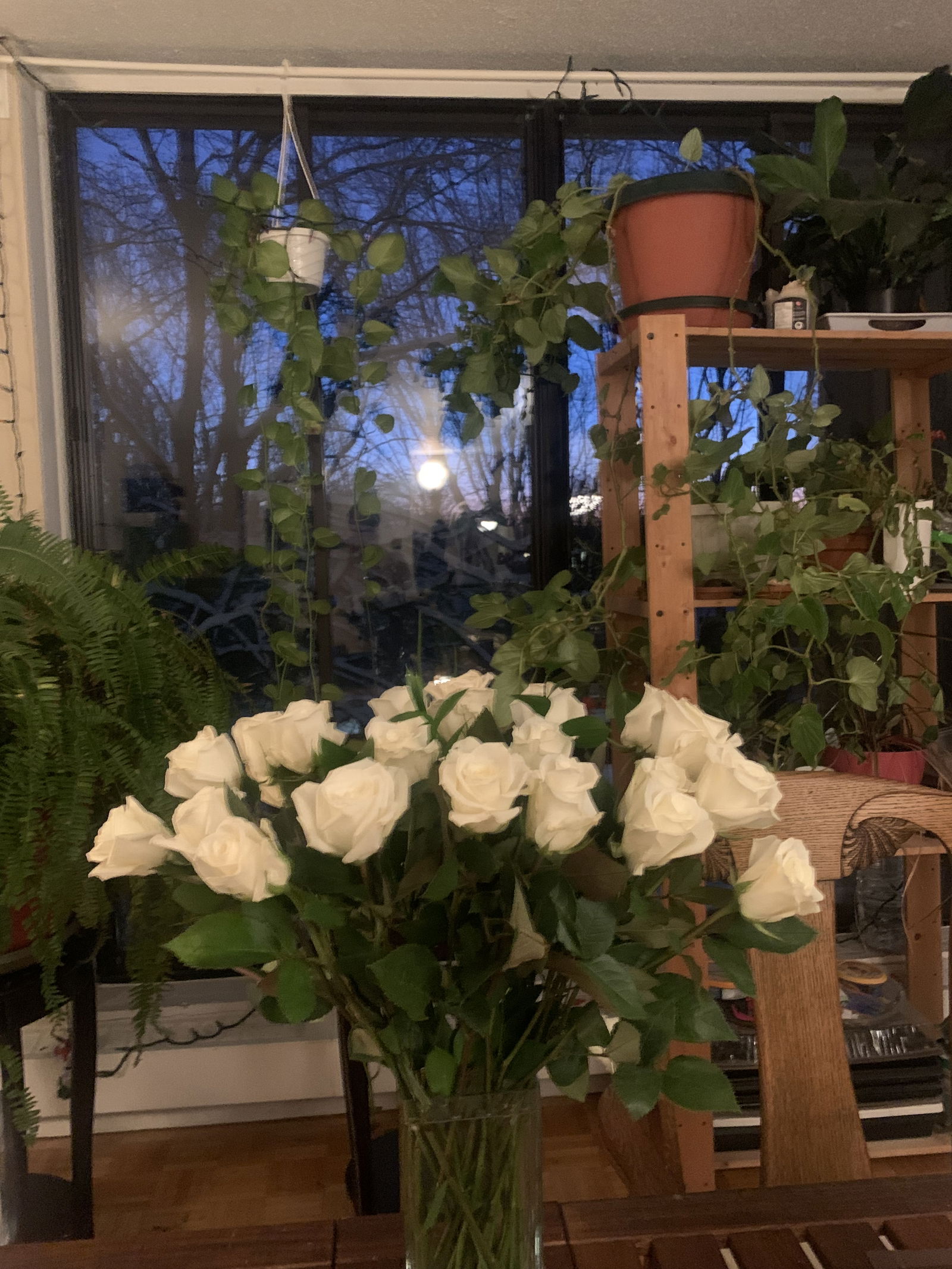 Homestay Montréal 264480