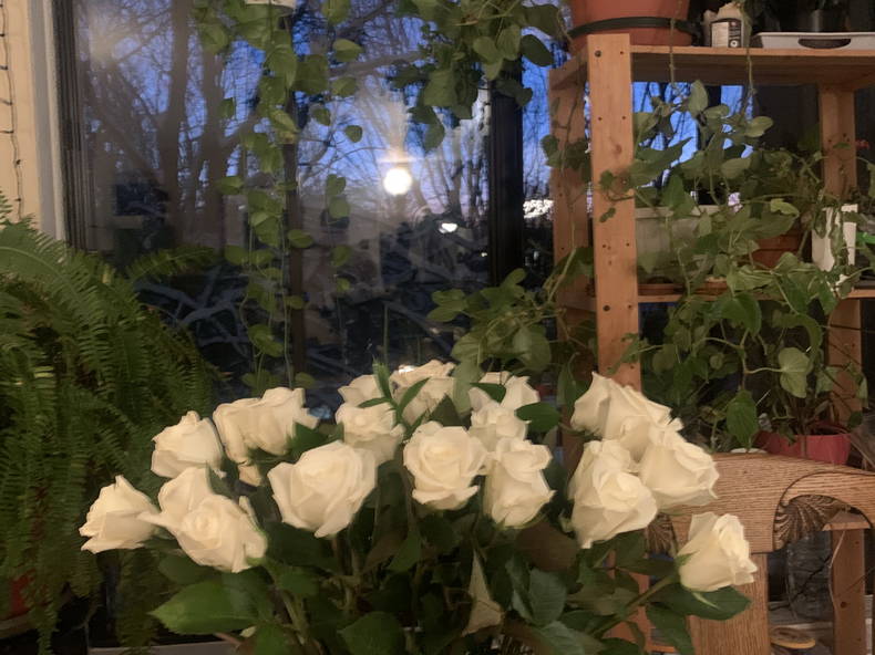 Hemvistelse Montréal 264480-4