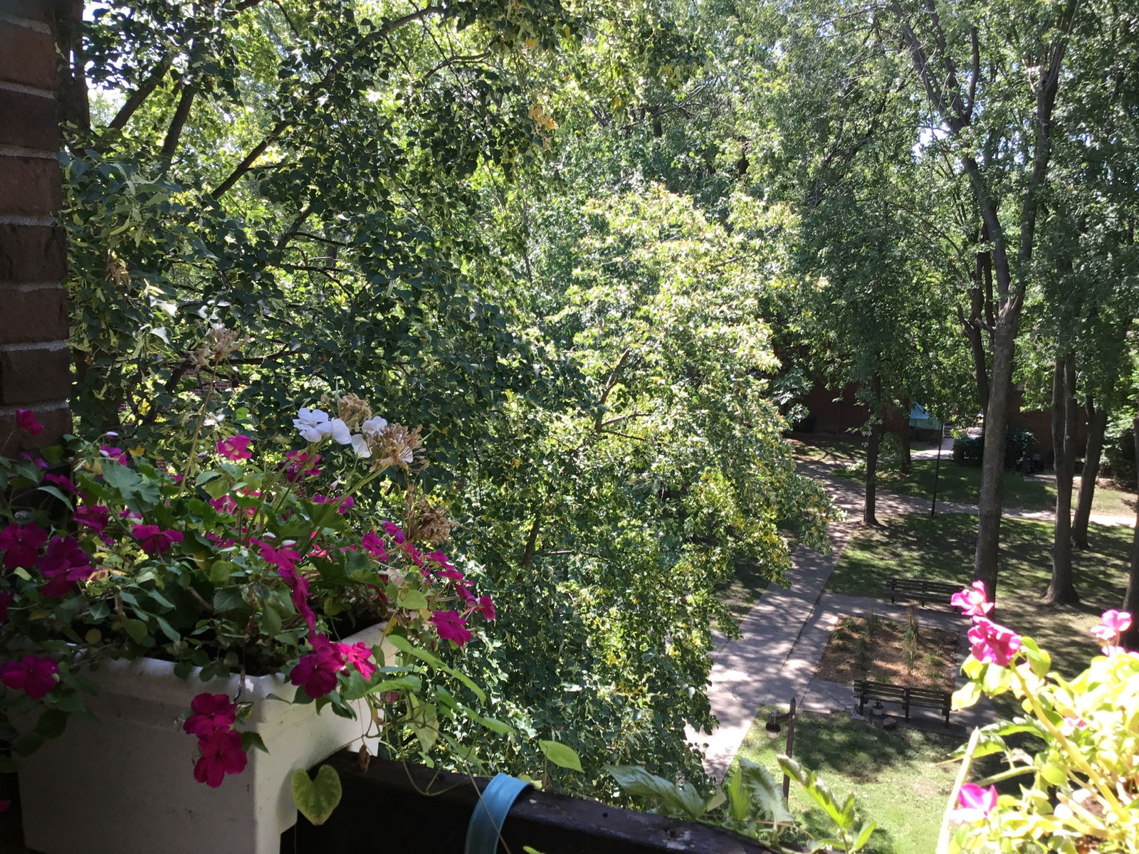 Homestay Montréal 264480
