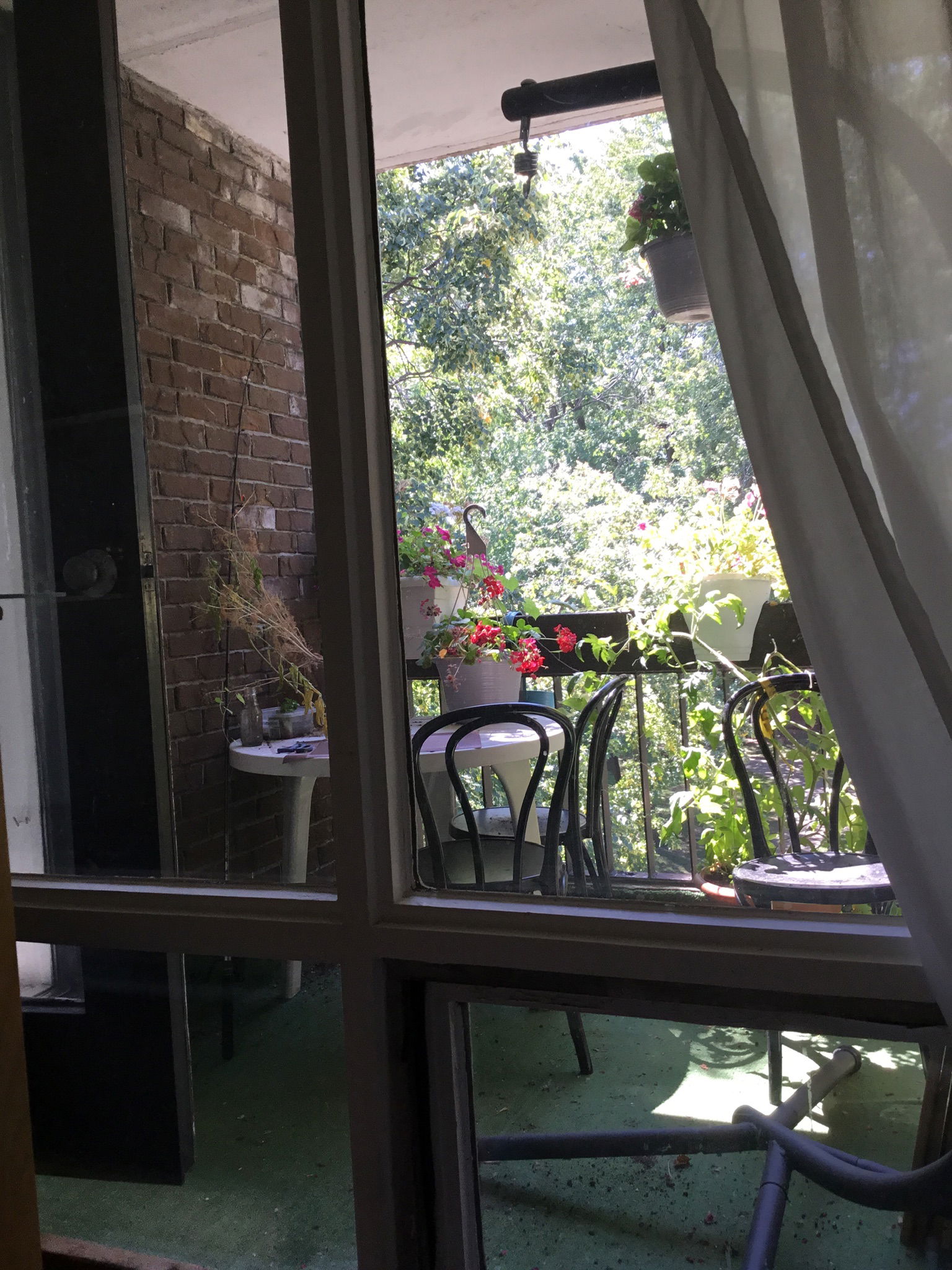 Homestay Montréal 264480