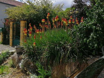 Logement Entier Illfurth 253220-5