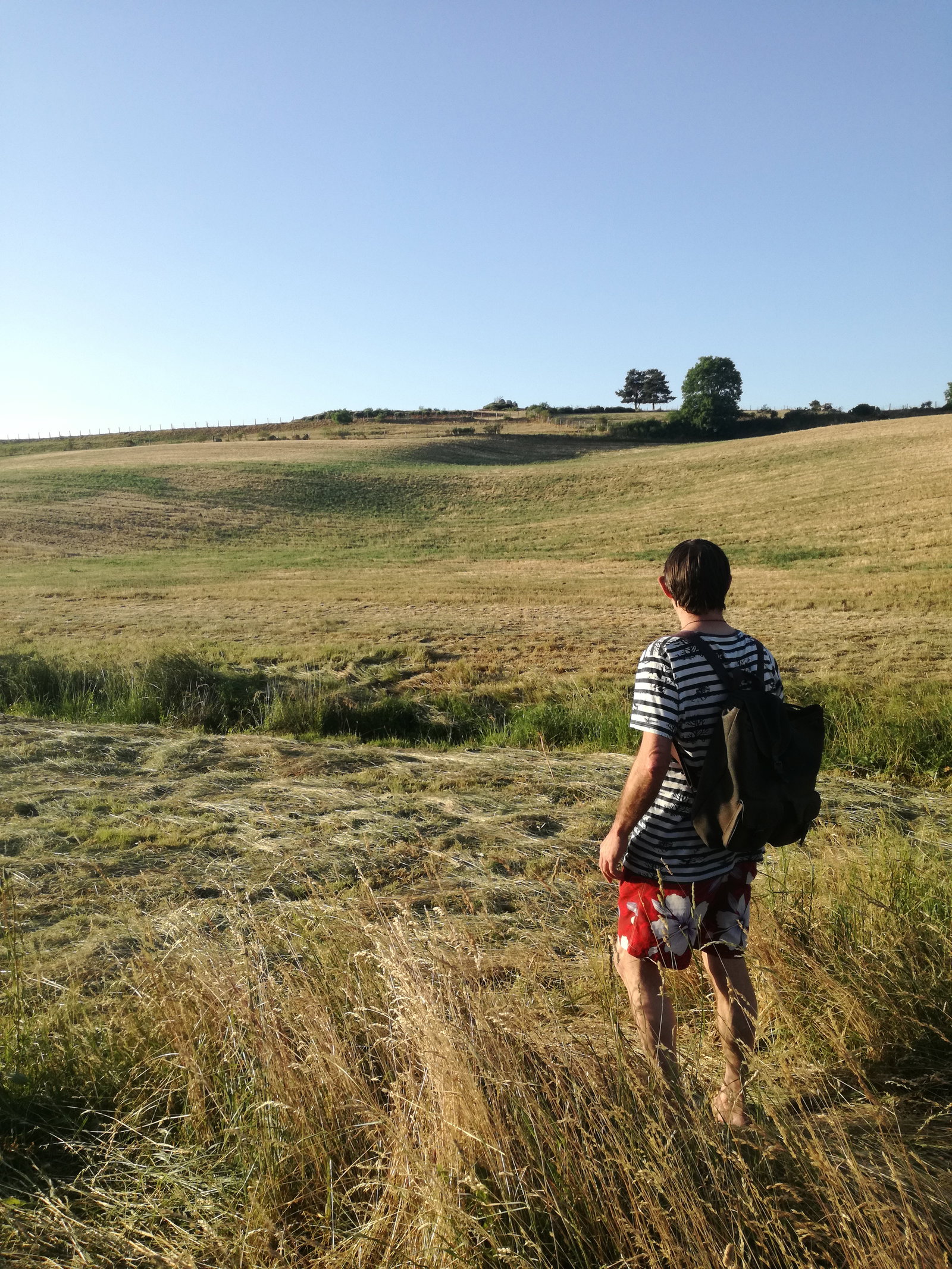 Homestay Monts-de-Randon 250398