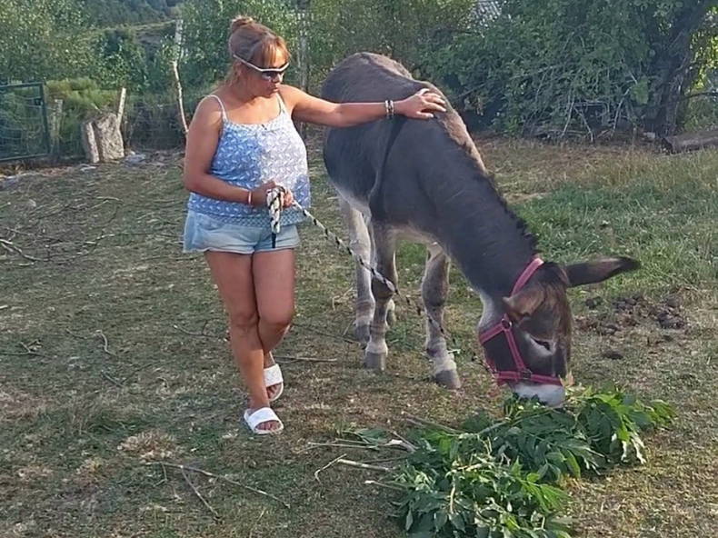 Homestay Monts-de-Randon 250398-2