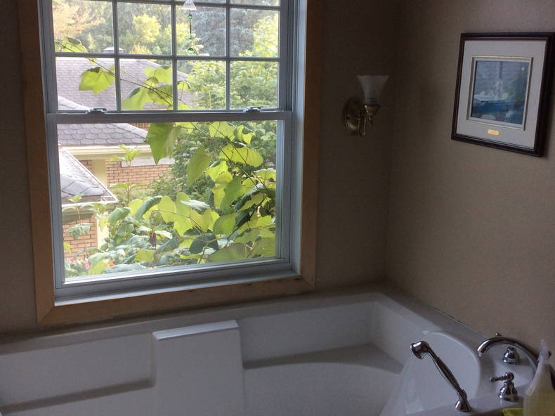 Pokoje Gościnne Sherbrooke 7773-3