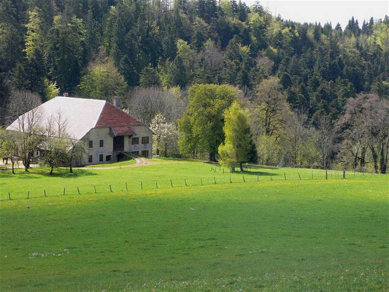 Chambre À Louer Les Nans 97149