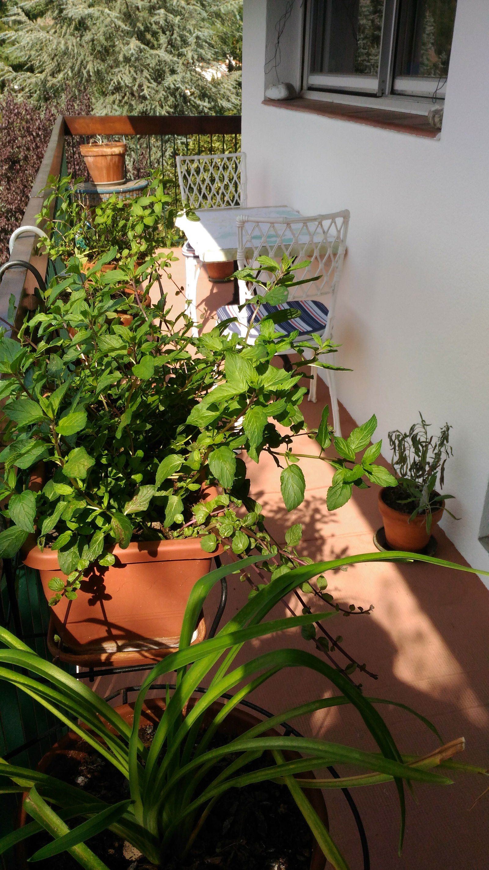 Bed And Breakfast Vernet-les-Bains 181361