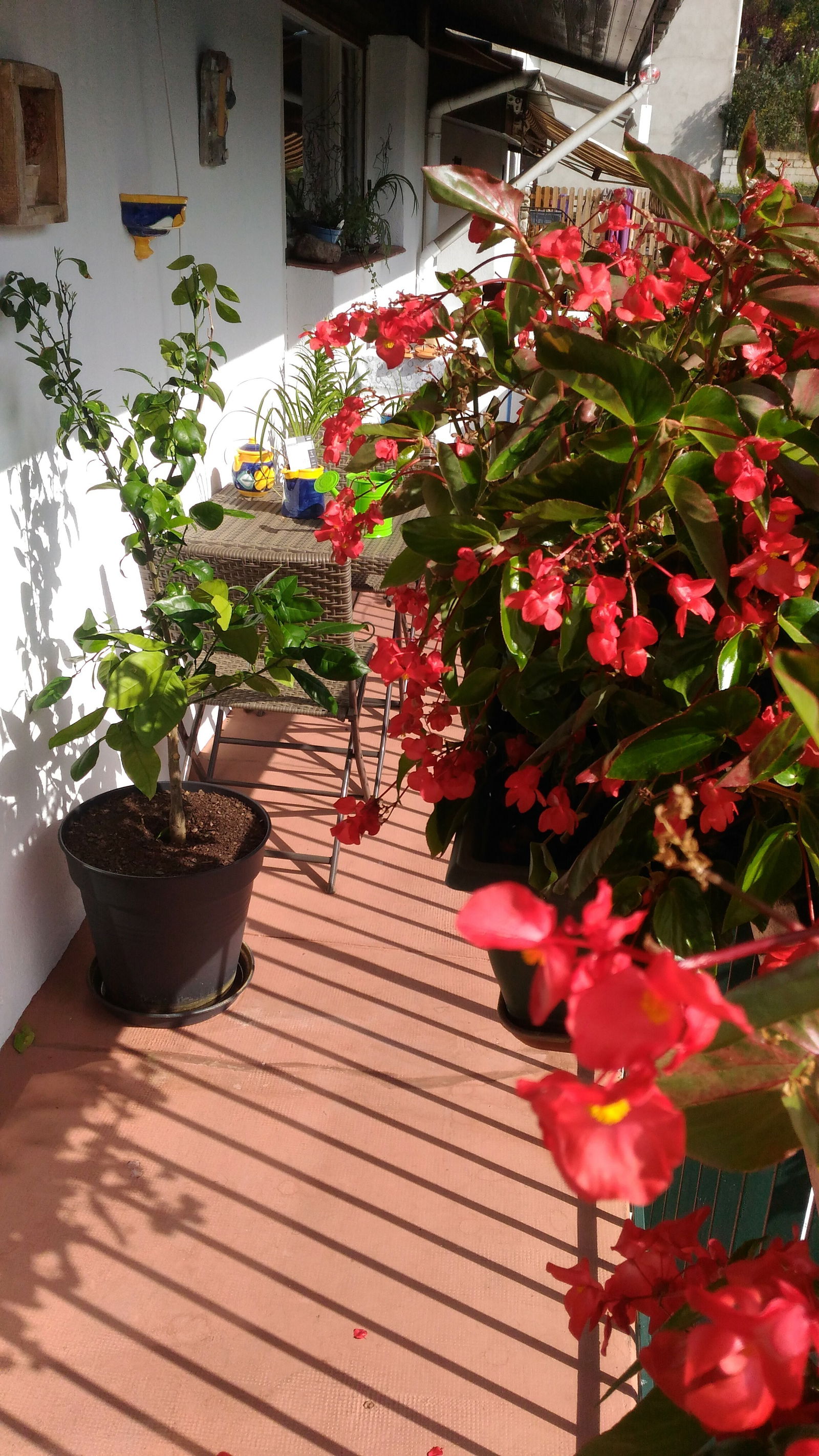 Bed And Breakfast Vernet-les-Bains 181361
