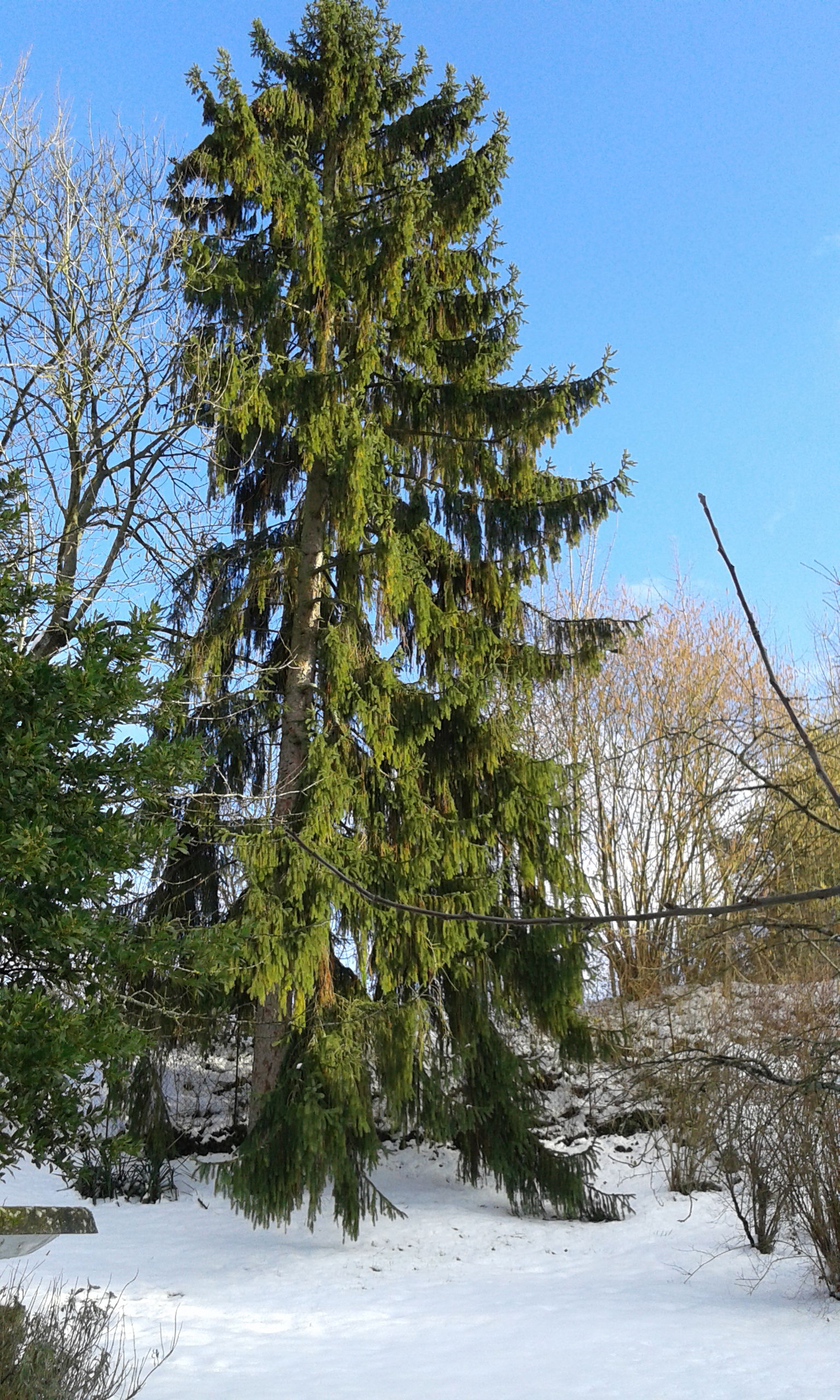 Homestay Hénonville 264713
