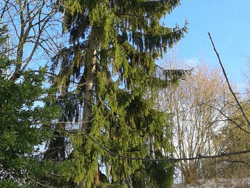 Chambre Chez L'habitant Hénonville 366492-6