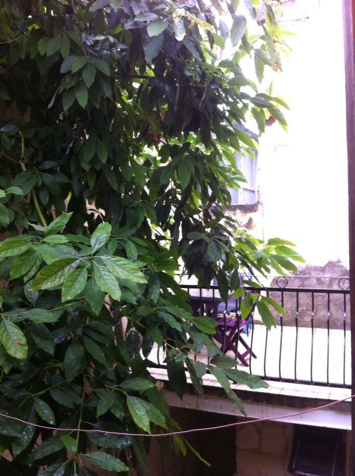 Homestay Bordeaux 153689