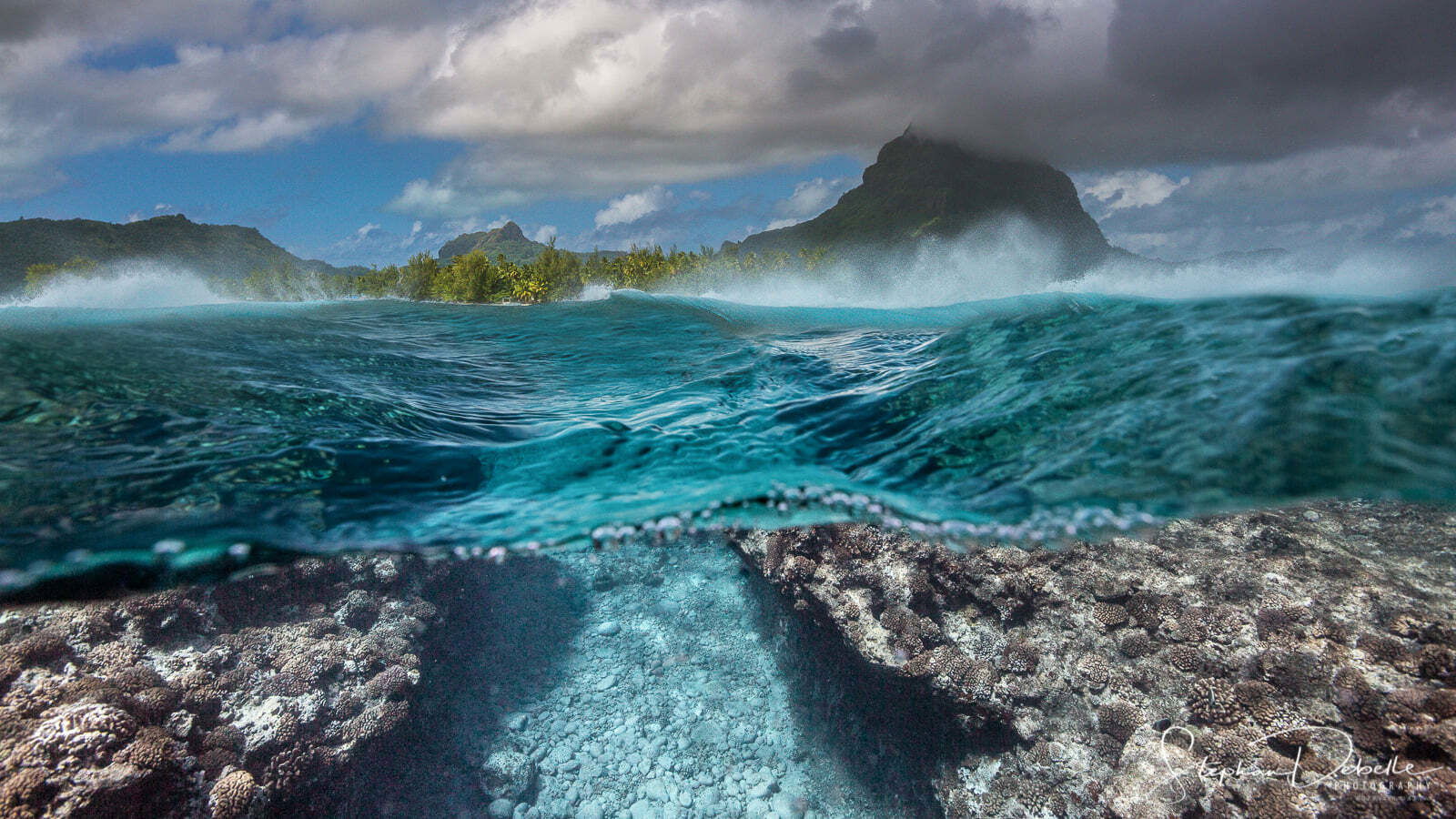 Tutta La Casa Papeete 255289