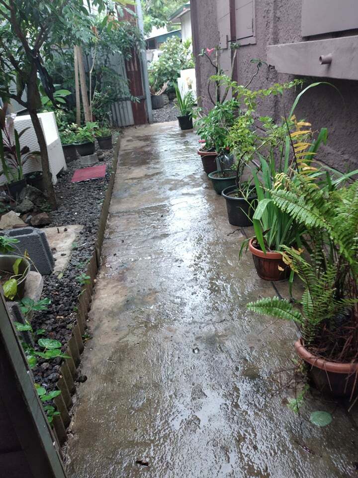 Tutta La Casa Papeete 255289