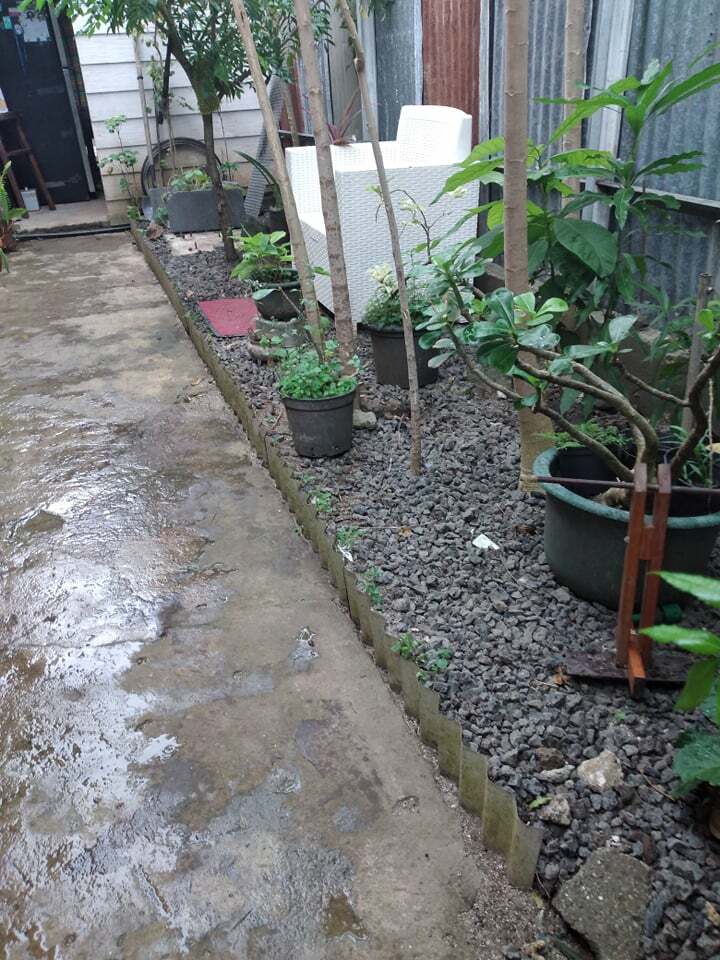 Tutta La Casa Papeete 255289