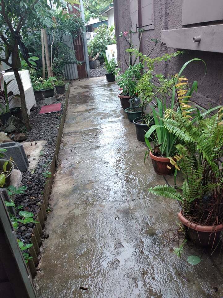 Tutta La Casa Papeete 255289