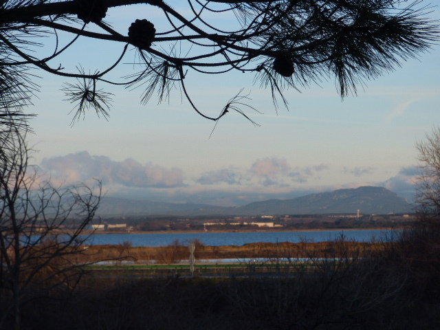 Hele Huis Carnon plage 89606