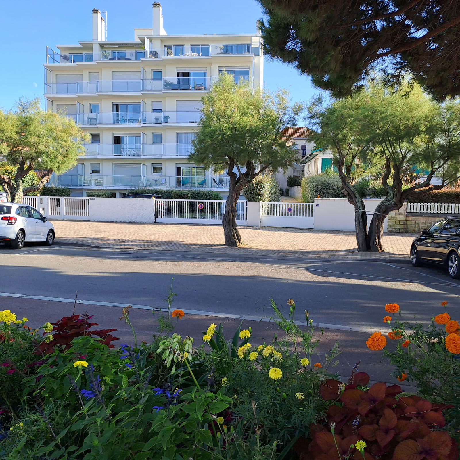 Onafhanklike Ateljee Arcachon 45505