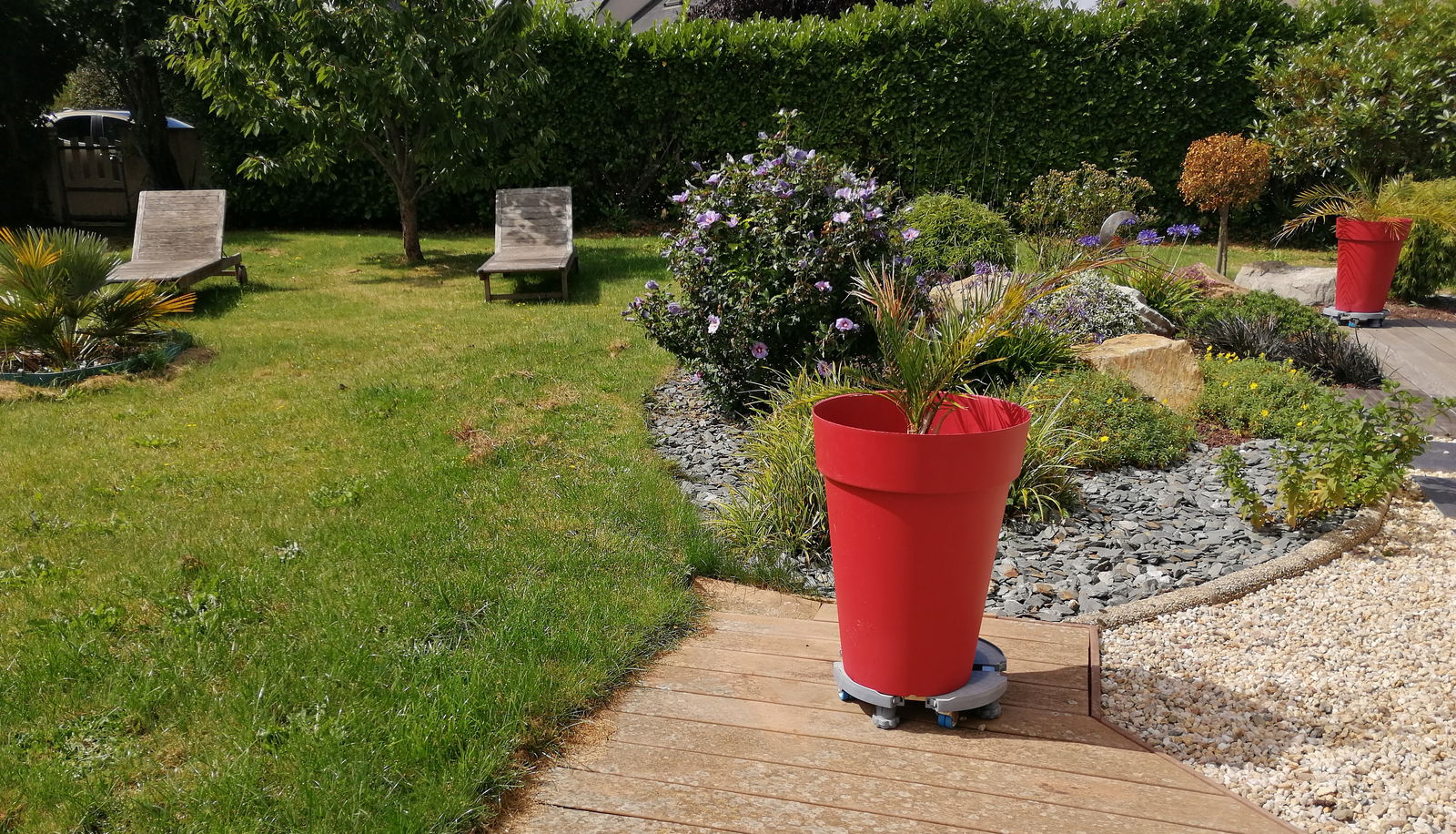 Homestay Yffiniac 184502