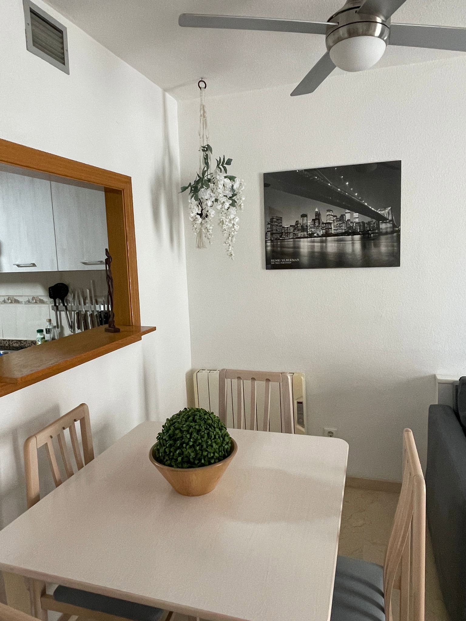 Hele Woning Benidorm 141981