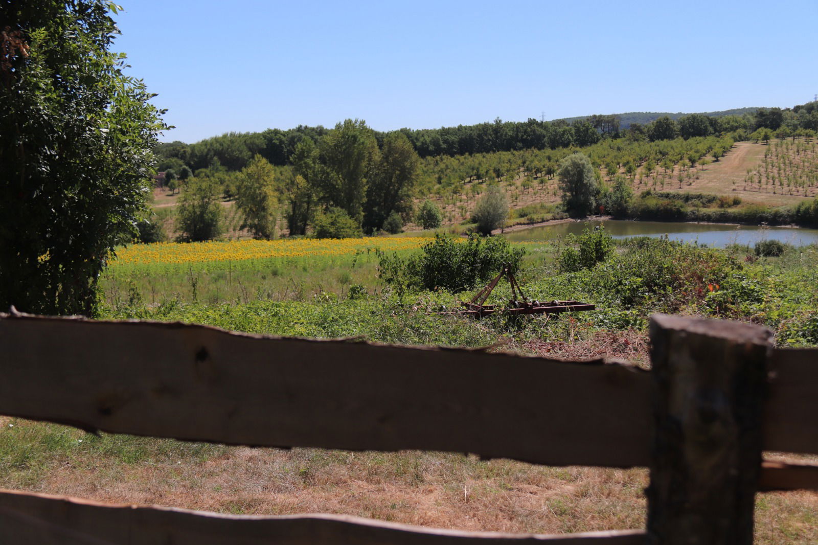 Hemvistelse Savignac-sur-Leyze 380007