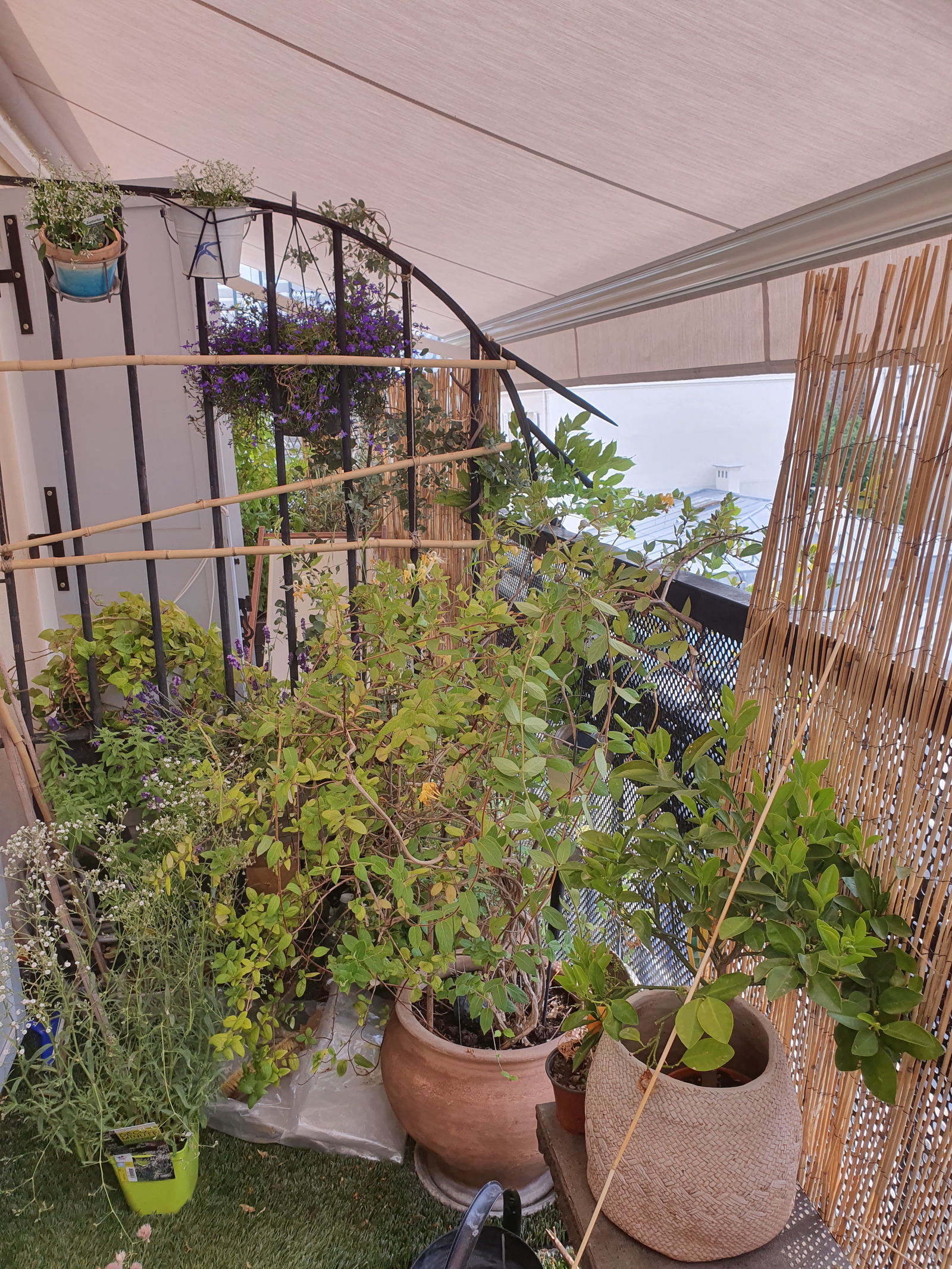 Entire Home Paris 151869