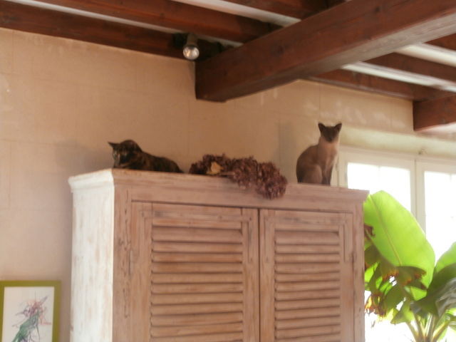 Homestay Tarascon 23465