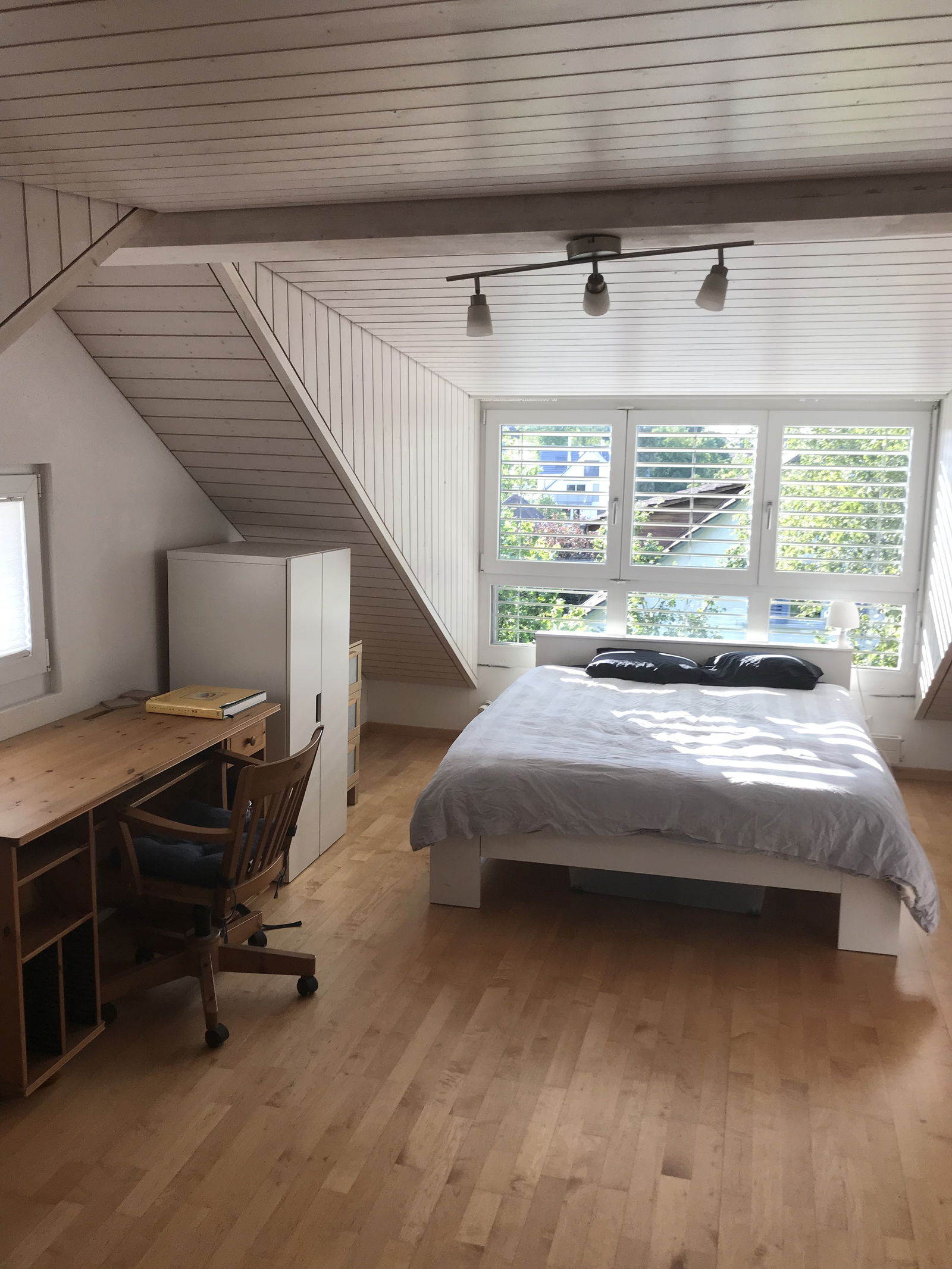 Homestay Wallisellen 245454