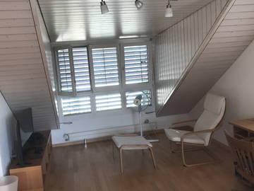 Room For Rent Wallisellen 245454