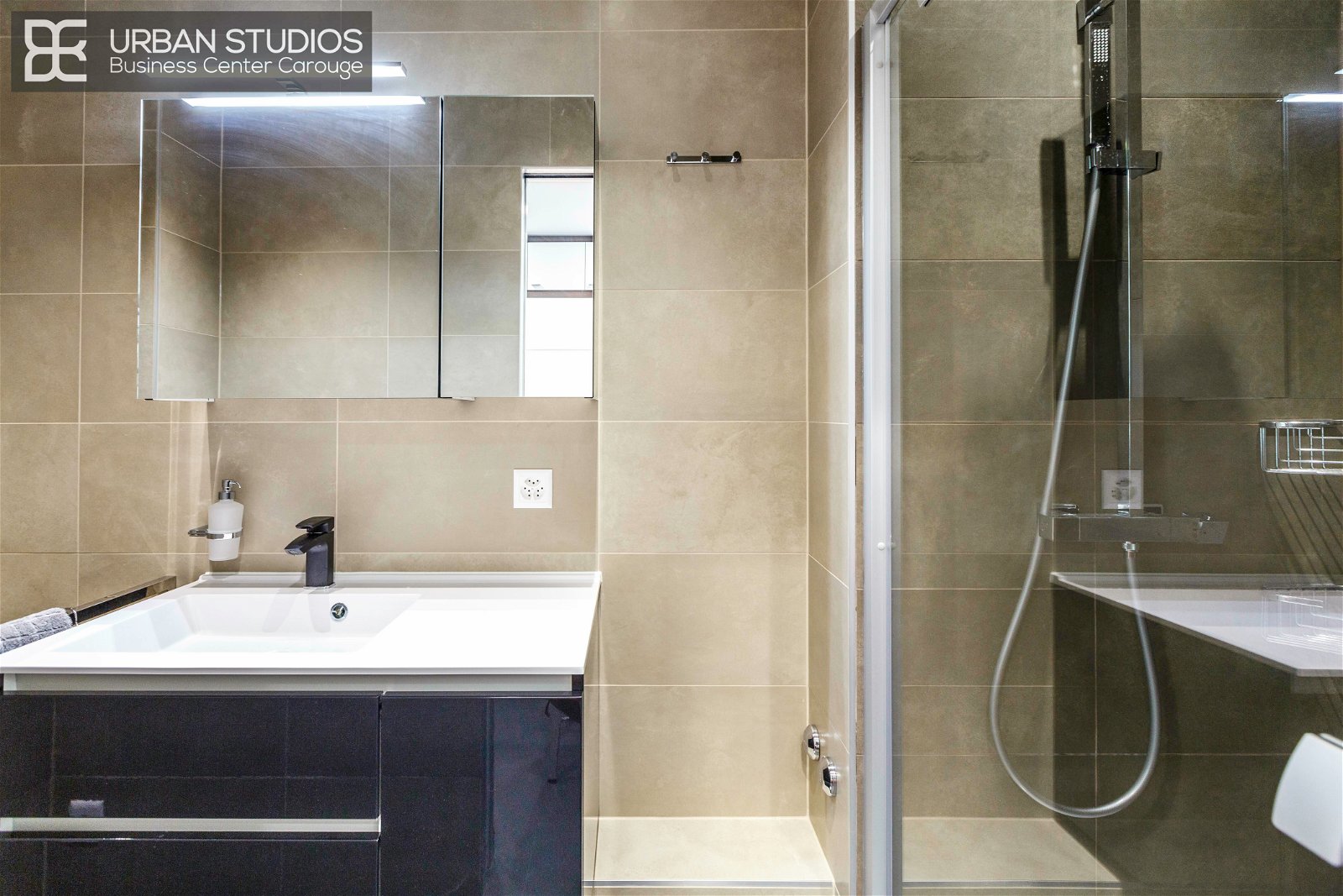 Colocatie Carouge 183222