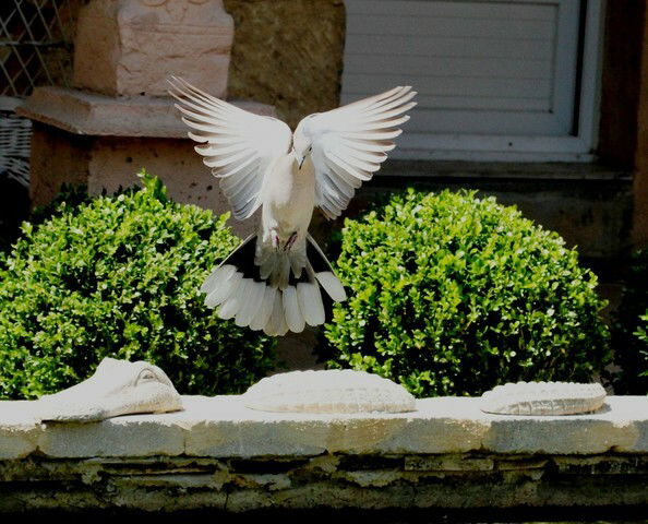 Bed And Breakfast Bergerac 37027